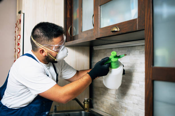 Best Local Pest Control Services  in Vernonia, OR