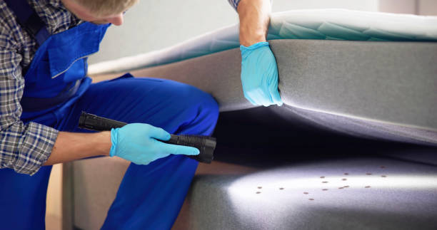 Best Mosquito Control Services  in Vernonia, OR
