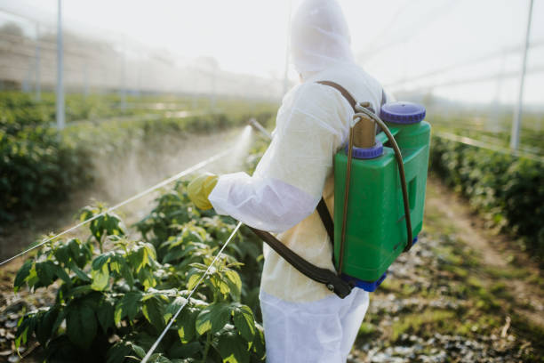 Best Pest Removal Services  in Vernonia, OR